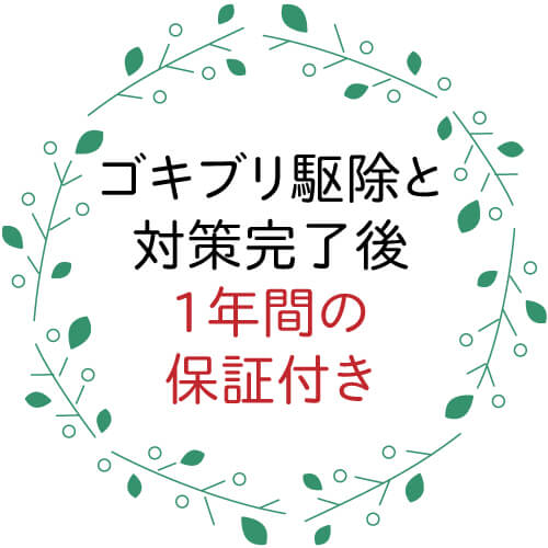 福岡のゴキブリ駆除 ゴキブリ駆除侵入対策チーム