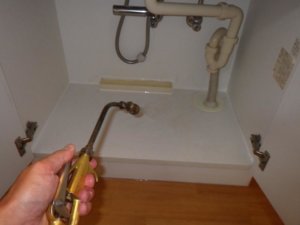 薬剤によるゴキブリ駆除