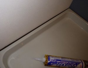 防水パンゴキブリ駆除と侵入対策